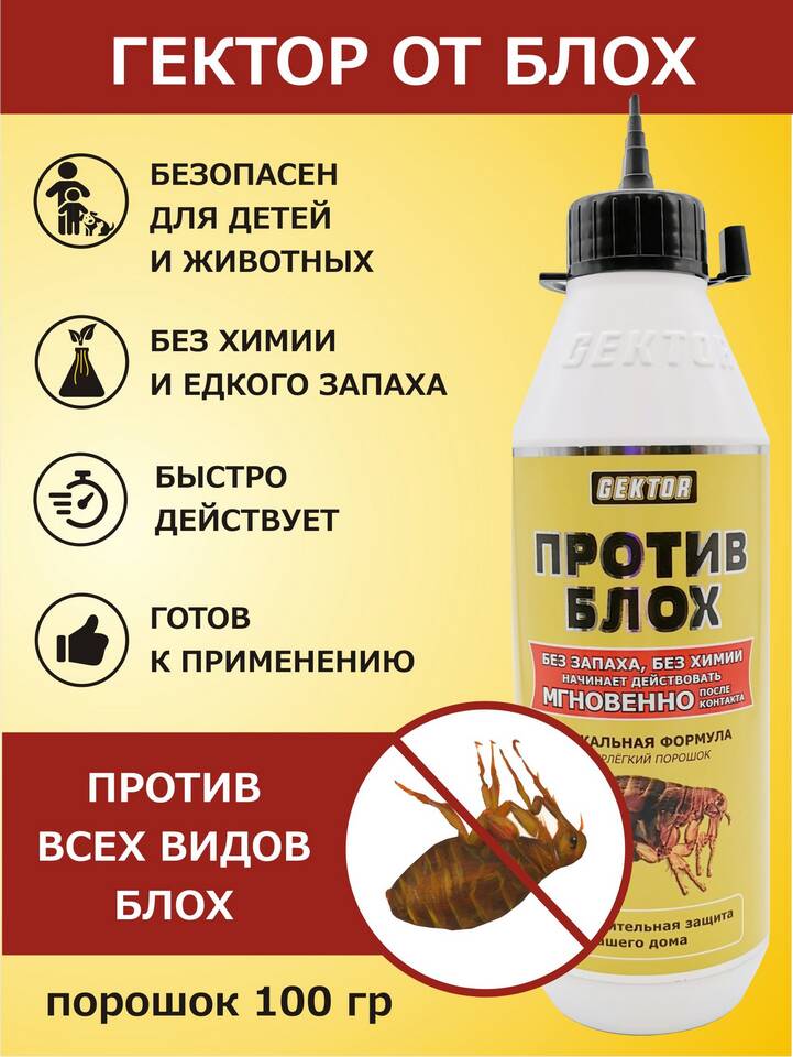 Чем вывести вшей в домашних условиях