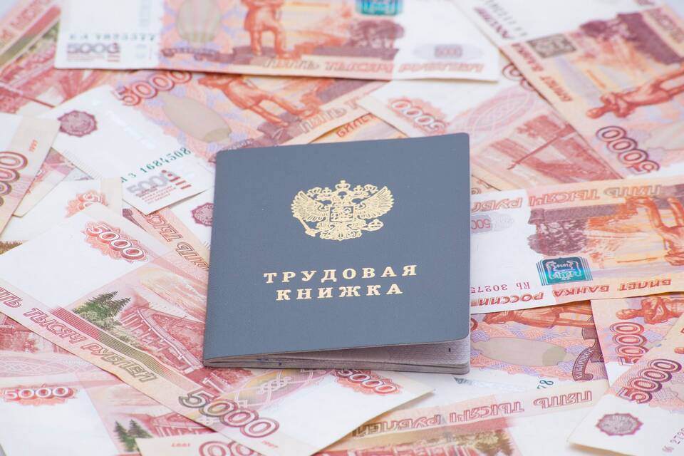 Как получить справку СТД-Р через Госуслуги