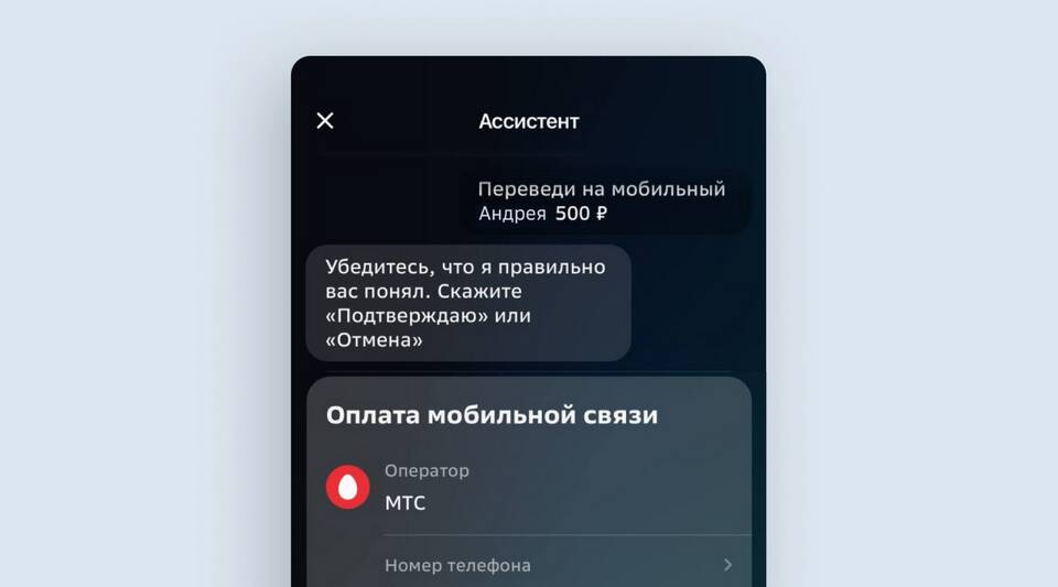 Как потратить баллы «СберСпасибо» в Ростиксе