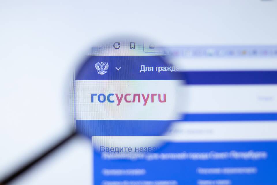 Как создать личный кабинет юридического лица на Госуслугах