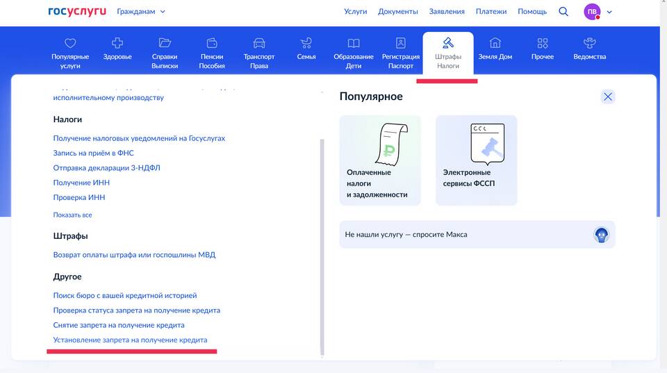 Как установить расширение Госуслуги в браузер