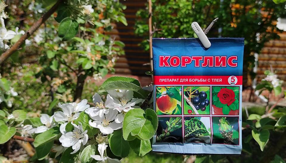 Средства для борьбы с тлей