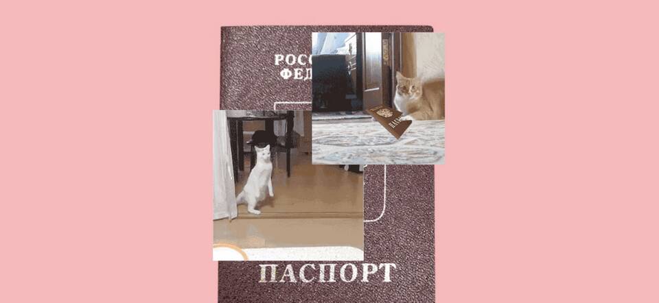 Военный потерял паспорт: что делать
