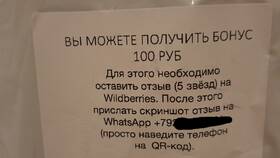 Как найти отзывы на Wildberries в 585 Золотой