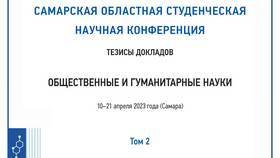 Как найти товары на Авито с помощью голосового помощника Алиса в 585 Золотой