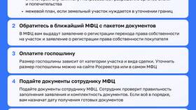 Как оформить куплю-продажу через МФЦ в 585 Золотой