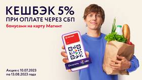 Как оплачивать покупки телефоном через СБП в 585 Золотой