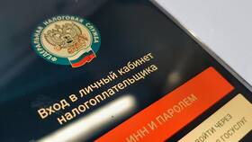 Как посмотреть налоги физического лица в 585 Золотой