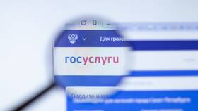 Как создать личный кабинет юридического лица на Госуслугах в 585 Золотой