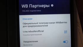 Почему чат поддержки Wildberries не отвечает в 585 Золотой