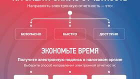 Причины невозможности отправки налоговой декларации в 585 Золотой